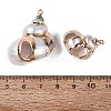 Electroplated Golden Brass Edged Natural Spiral Shell Pendants SSHEL-Q101-04-3
