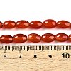Dyed Natural Agate Beads Strands G-T141-15A-02-4