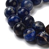 Natural South Africa Sodalite Beads Strands G-S259-35-8mm-6