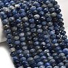 Natural Sodalite Beads Strands G-C280-A01-02-1