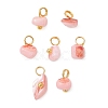 Dyed Natural Freshwater Shell Nuggets Charms PALLOY-JF05032-02-1
