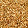 TOHO 11/0 Round Beads SEED-TR11-0022-2