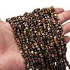 Natural Leopard Skin Jasper Beads Strands G-I389-A09-1