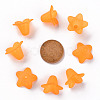 Transparent Acrylic Beads PLF018-08-3