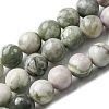 Natural Peace Jade Beads Strands G-E598-04B-2