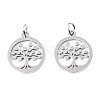 304 Stainless Steel Pendants LS-STAS-T046-JA350-1A-P-3
