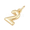 Brass Charms KK-G544-10G-02-2