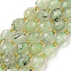 Natural Prehnite Beads Strands G-N342-43-1