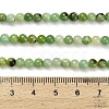 Natural Serpentine Beads Strands G-Z110-C04-4mm-5