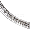 304 Stainless Steel Wire CHS-WH0010-01A-1