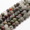 Natural African Bloodstone Beads Strands G-G735-32-6mm-1