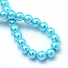 Baking Paint Pearlized Glass Pearl Round Bead Strands HY-Q003-6mm-48-4