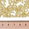 12/0 Glass Seed Beads X-SEED-A017-2mm-1107-3