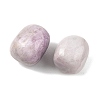 Natural Kunzite Beads G-G348-01B-15-2