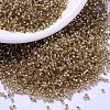MIYUKI Delica Beads X-SEED-J020-DB2155-1