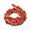 Dyed Natural Carnelian Chip Beads Strands G-E271-74-2