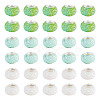 100Pcs Large Hole Resin European Beads OPDL-TA0001-06B-1