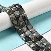 Natural Eagle Eye Stone Beads Strands G-C109-A15-02-2