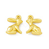 Rack Plating Alloy Charms FIND-G045-30MG-1
