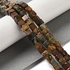 Natural Picasso Jasper Beads Strands G-Q161-C01-02-2