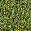 12/0 Glass Seed Beads SEED-S005-25-3