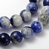 Natural Sodalite Beads Strand X-GSR6mmC013-2