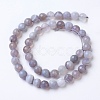 Natural Banded Agate Beads Strands G-G754-02-10mm-2