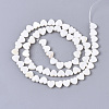 Natural Freshwater Shell Beads Strands X-SHEL-N027-01-2
