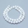 Natural Selenite Beads Strands G-L552H-16-3