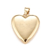 Brass Micro Pave Cubic Zirconia Locket Pendants X-KK-A161-47G-2