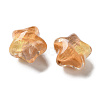 Gradient Color Transparent Hand-drawed Acrylic Beads TACR-P012-01B-05-2
