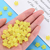 Transparent Acrylic Beads MACR-S373-26E-09-5