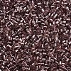Glass Bugle Beads SEED-S032-08A-56-3
