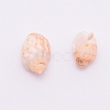 Natural Conch Shell Beads SSHEL-WH0001-33-2