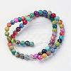 Natural Imperial Jasper Beads Strands G-I122-8mm-14-2