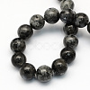 Natural Larvikite Round Beads Strands G-S159-6mm-2