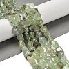 Natural Prehnite Beads Strands G-P497-01E-39-2