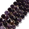 Natural Amethyst Beads Strands G-P568-B01-01-2