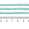 Natural Freshwater Shell Beads Strands SHEL-P017-01B-03-4