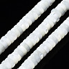 Natural Trochid Shell/Trochus Shell Beads Strands SSHEL-S266-019A-02-1