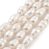 Natural Cultured Freshwater Pearl Beads Strands PEAR-P062-08B-2
