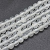 Natural Selenite Beads Strands X-G-G792-24A-1