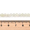 Watermelon Stone Glass Beads Strands G-L621-B04-4mm-5