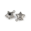 304 Stainless Steel Charms STAS-I342-10P-3