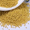 MIYUKI Delica Beads SEED-MY11-DB2102-1