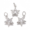 Brass Micro Pave Cubic Zirconia Charms ZIRC-F111-11P-1