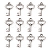 Gifts Ideas for Her Tibetan Style Alloy Charms LF11975Y-1