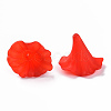 Transparent Acrylic Beads BSF796M-2