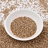 MIYUKI Delica Beads X-SEED-J020-DB1802-2
