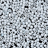 8/0 Glass Seed Beads SEED-S061-A-979-9